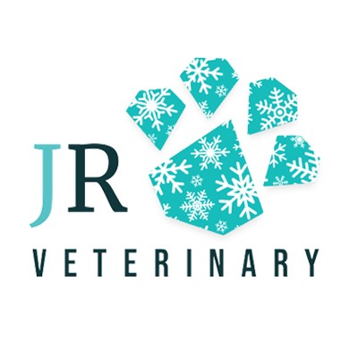 Recruitment start-up christmas logo