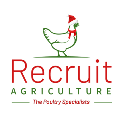 Recruitment start-up christmas logo